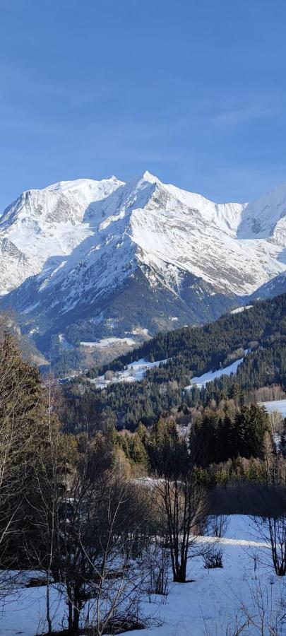 Ideal Ete Ou Hiver, Pour Skieurs Et Promeneurs, 4 Personnes Apartment Saint-Gervais-les-Bains